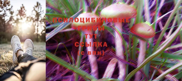 герыч Михайловск