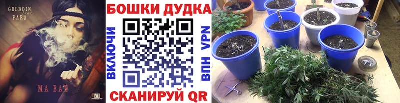 купить закладку  Черепаново  МАРИХУАНА Bruce Banner 